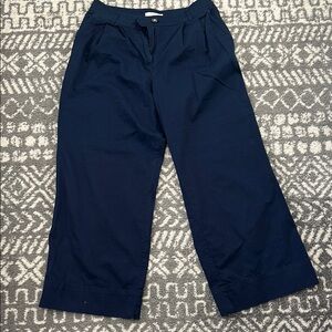 Navy Wide-Leg Pants